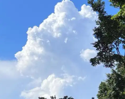 氹仔岛天气预报,氹仔岛7天天气预报,氹仔岛15天天气预报,氹仔岛天气查询